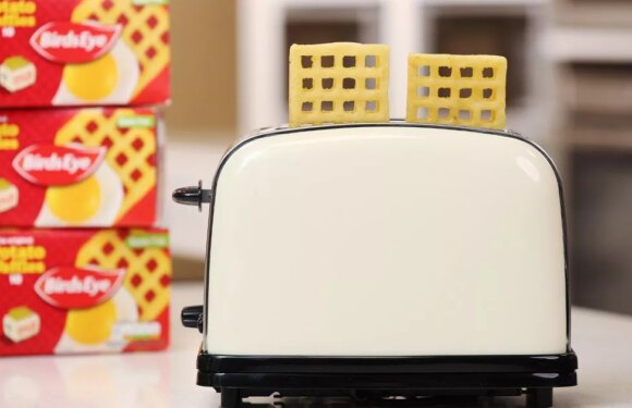 You’ve been cooking potato waffles wrong – Birds Eye says you should use toaster