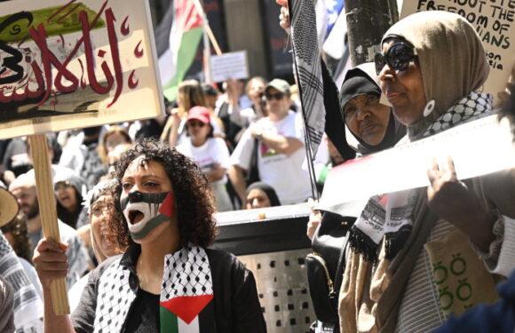 ‘Rage and a hunger for justice’: Assange’s father speaks at pro-Palestine rally