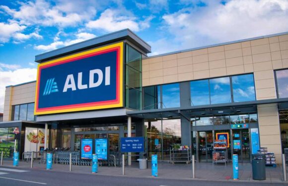 Aldi shoppers fill baskets with 'fab' hot water bottle you never have to refill and 'stays hot for hours' | The Sun
