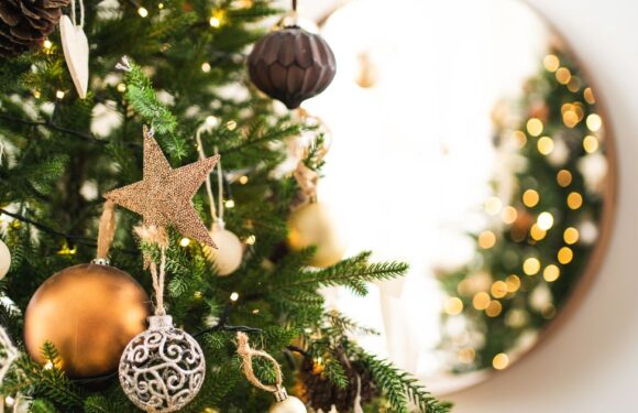 Best ways to pick the perfect Christmas tree and keep it lasting the entire season