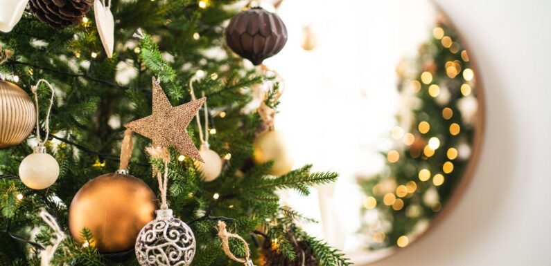Best ways to pick the perfect Christmas tree and keep it lasting the entire season