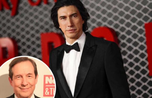 CNN's Chris Wallace Slammed for Questioning Adam Driver's Looks