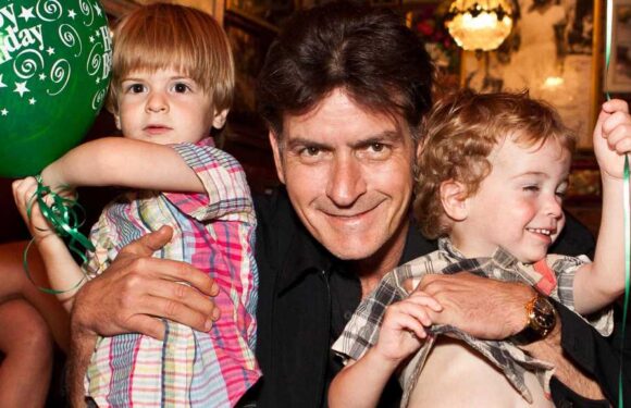 Charlie Sheen Claims Ex Brooke Mueller Is 'Not in the Picture' Right Now for Twin Boys