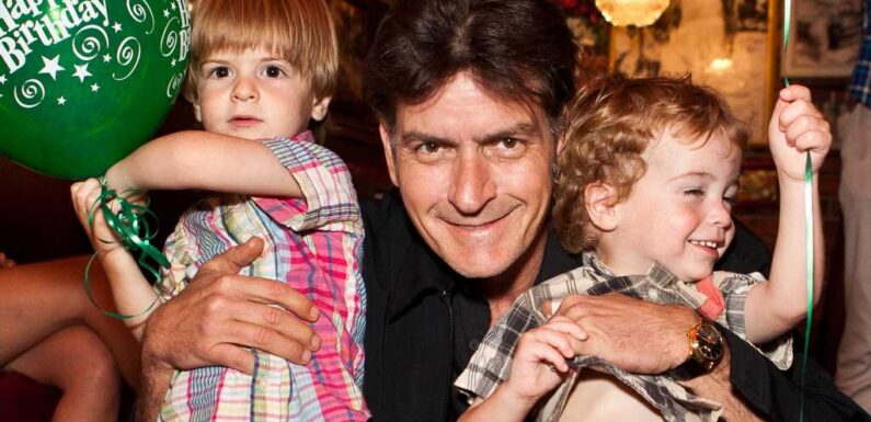 Charlie Sheen Claims Ex Brooke Mueller Is 'Not in the Picture' Right Now for Twin Boys