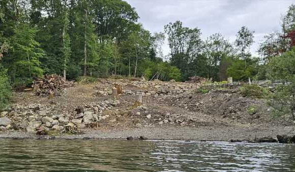 Chris Packham slams 'appalling' destruction to Windermere shoreline