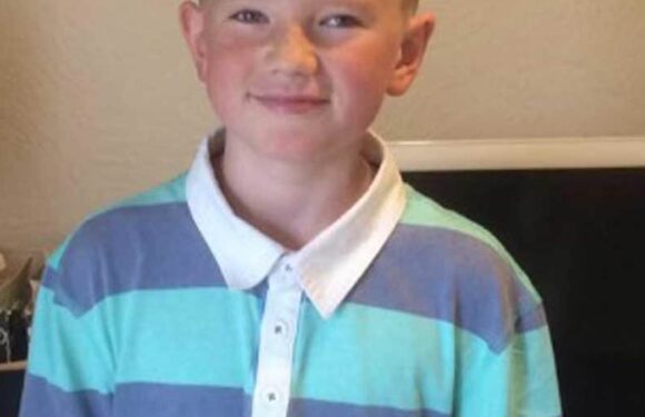 Cops preparing to talk with Alex Batty about his 'kidnap' ordeal