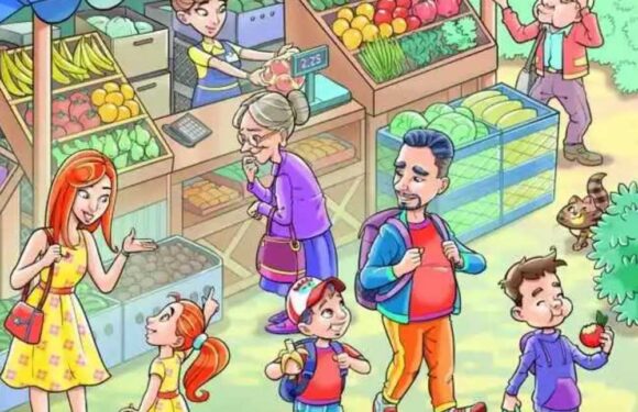 Counting the fruit & veg is easy – but you have 20/20 vision if you can find the sneaky racoon ready to steal it all | The Sun