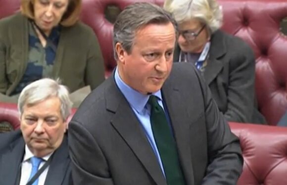 David Cameron says Britain will 'continue to engage with China'