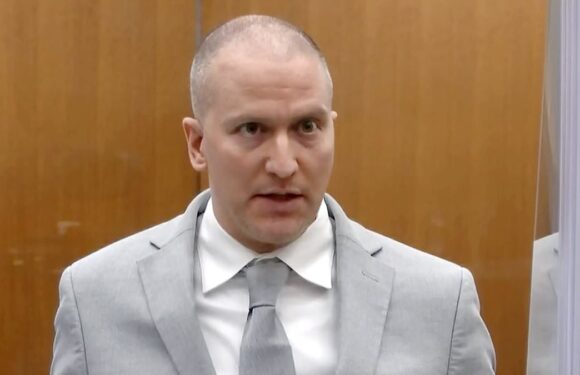 Derek Chauvin was stabbed 22 TIMES with 'improvised knife'