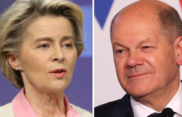 EU nations risk becoming vassals in German-dominated superstate – insiders