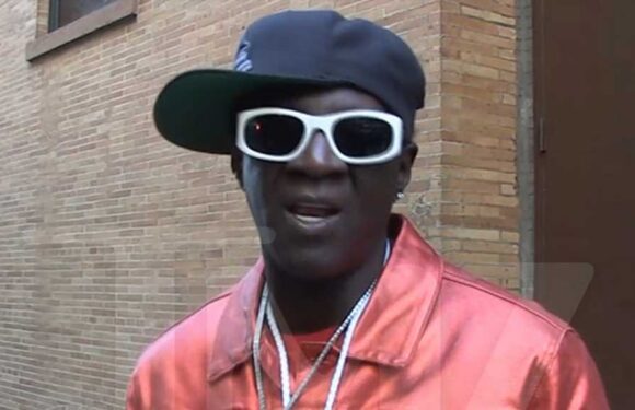 Flavor Flav Hypes Up Taylor Swift Harvard Course and Run for President