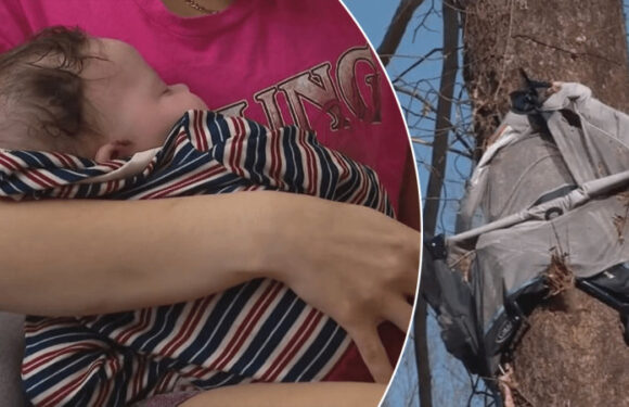 Four-month-old survives after tornado tossed him into downed tree