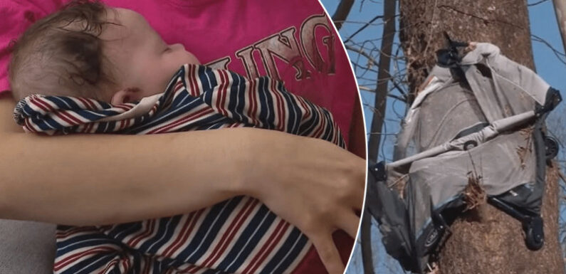 Four-month-old survives after tornado tossed him into downed tree