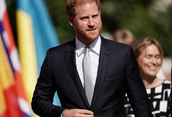Heritage’s targeted harassment of Prince Harry is getting even more deranged
