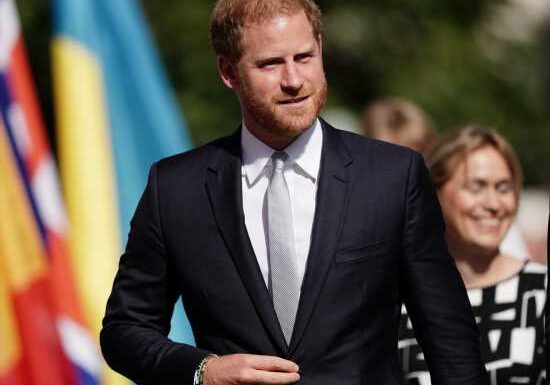 Heritage’s targeted harassment of Prince Harry is getting even more deranged