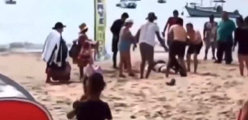 Hero mother is killed saving her five-year-old daughter from a shark