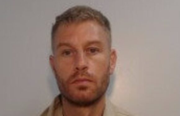 Hit and run driver who killed a grandmother is jailed for 20 months