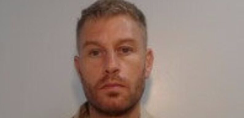 Hit and run driver who killed a grandmother is jailed for 20 months