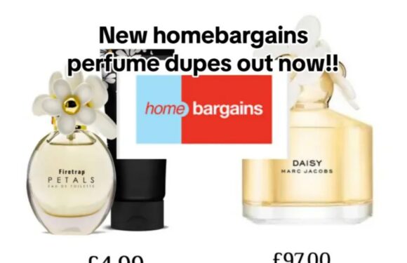 Home Bargains 'new perfume dupes are out now' including £4.99 replica of Marc Jacobs' Daisy that's 20 times cheaper | The Sun