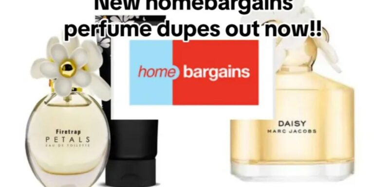 Home Bargains 'new perfume dupes are out now' including £4.99 replica of Marc Jacobs' Daisy that's 20 times cheaper | The Sun