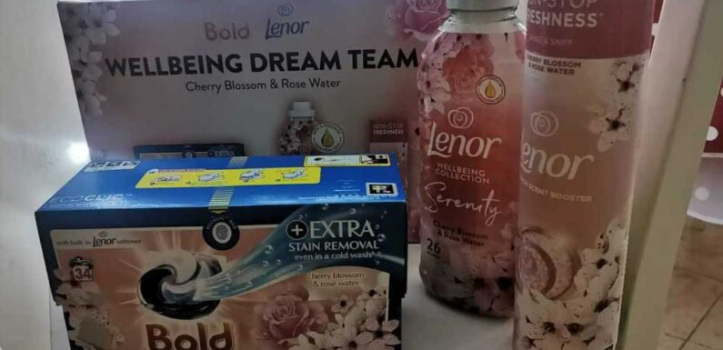 How to nab FREE laundry goodies – including Lenor scent boosters and fabric conditioner | The Sun