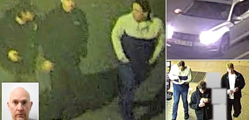 Hunt for men who posed as police officers to lure woman into their car