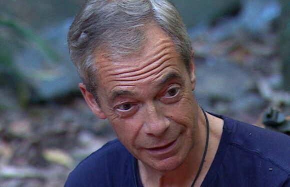 I’m A Celeb’s Nigel Farage ‘will leave jungle richer’ as he survives elimination