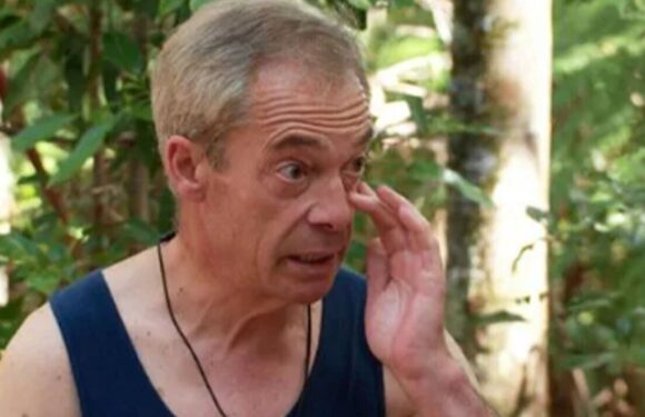 I’m A Celeb’s final three sparks fury as Nigel Farage in the running to be King
