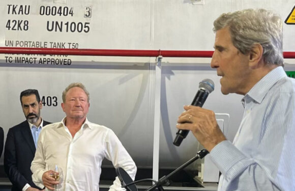 In Dubai, the COP behemoth expands, raising questions about its sustainability