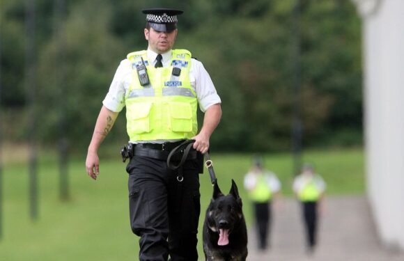 Jail has team of ‘hooch hounds’ trained to sniff out illegal booze made by lags