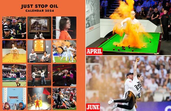 Just Stop Oil PRINT series of £25 calendars featuring smug snaps