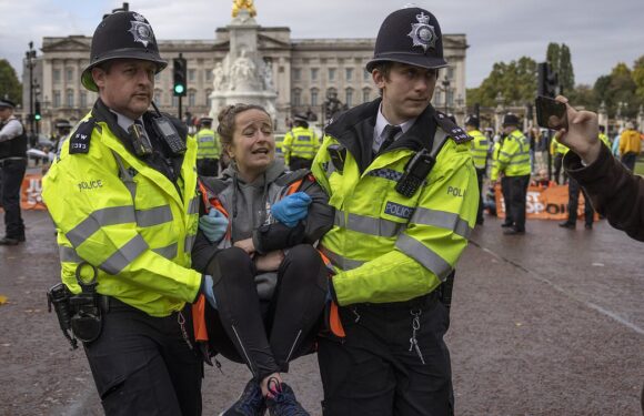 Just Stop Oil protests has so far cost Met Police £20 million