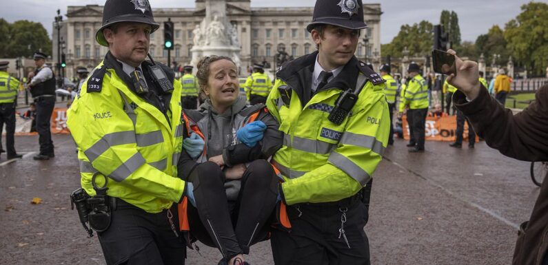 Just Stop Oil protests has so far cost Met Police £20 million