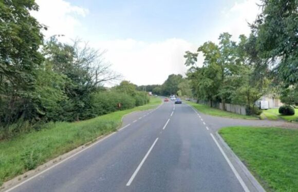 Married couple are killed in crash with police crime scene vehicle