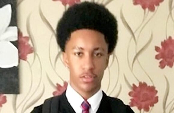 Moment killer, 15, is arrested at gunpoint after murdering teen