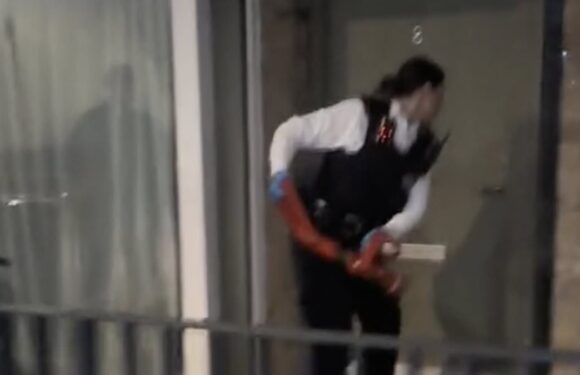 Moment wind-up merchant taunts police and starts giving them advice