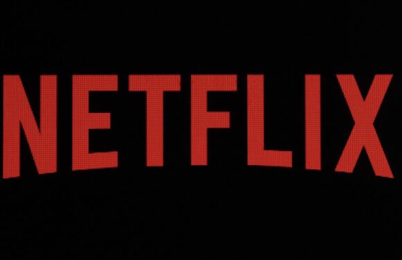 Netflix viewers claim new action drama is the 'best series