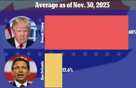 New poll puts Donald Trump on track to win 60% of votes in GOP primary