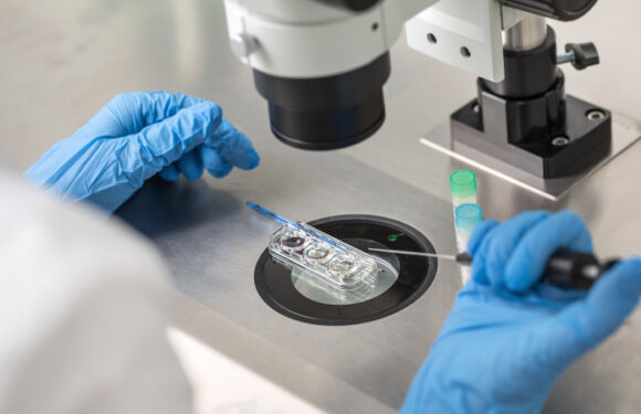 New ‘super-team of regulators’ to take on IVF bungles, pest control