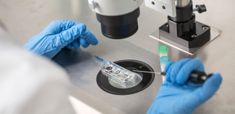 New ‘super-team of regulators’ to take on IVF bungles, pest control