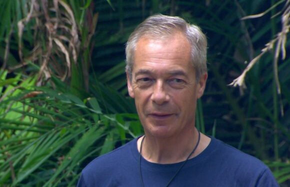 Nigel Farage relives terrifing plane crash that left him ‘trapped in the wreckage’