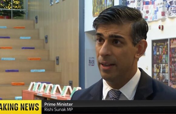 PM backs two-state solution after Israeli envoy dismisses idea