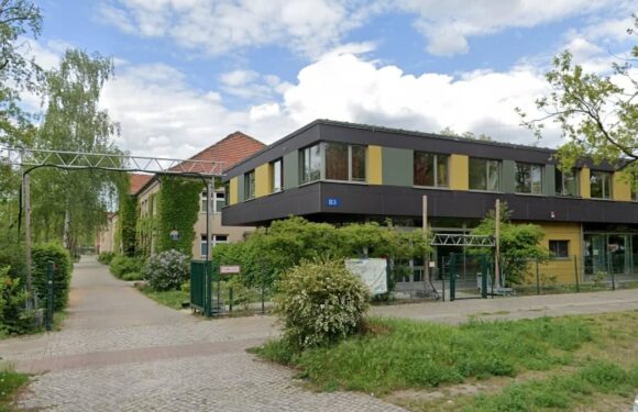 Playground punch-up leaves 49 people needing medical treatment