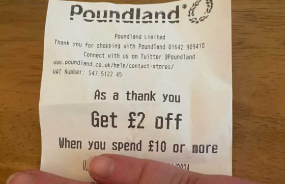 Poundland shoppers are raving over clever way to get money off your next shop & it really couldn't be easier | The Sun