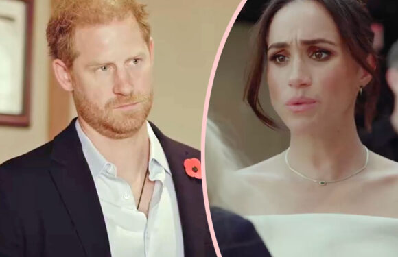 Prince Harry & Meghan Markle's Archewell Foundation Donations Have CRATERED! They LOST Money Last Year!