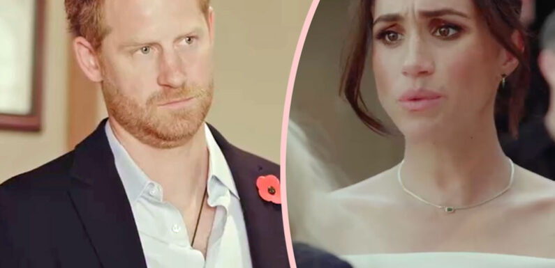Prince Harry & Meghan Markle's Archewell Foundation Donations Have CRATERED! They LOST Money Last Year!