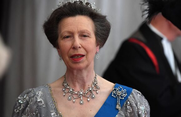Princess Anne is the hardest working royal of 2023