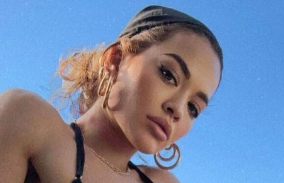 Rita Ora tells fans youre welcome as she bares all in tiny string bikini