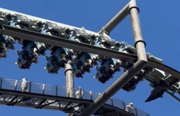 Rollercoaster nightmare as Universal Studios Japan ride breaks down