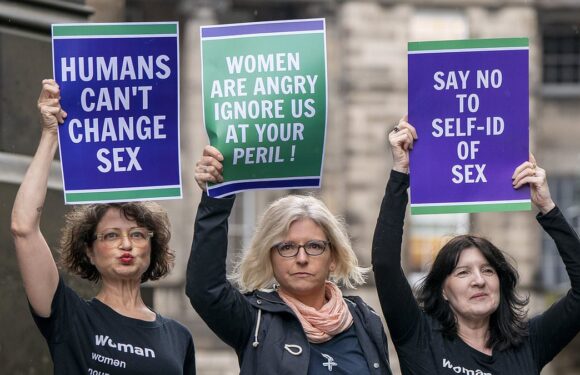 Scottish government loses gender self-ID court case